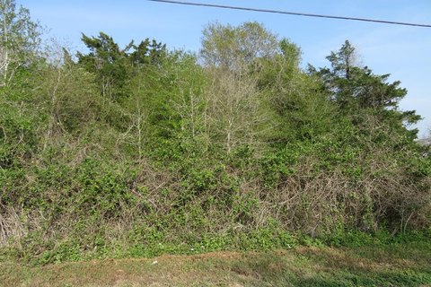 Residential Land in Palacios, TX