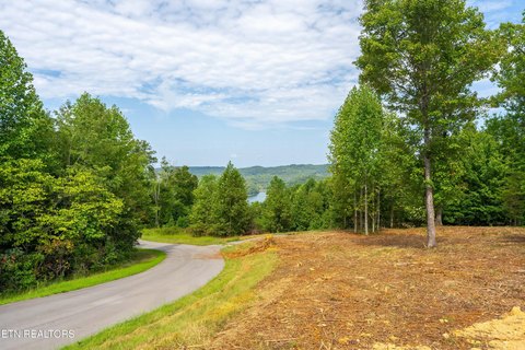 Lots & Acreage, Maynardville, TN