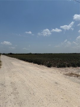 Highway-Front Commercial Land
