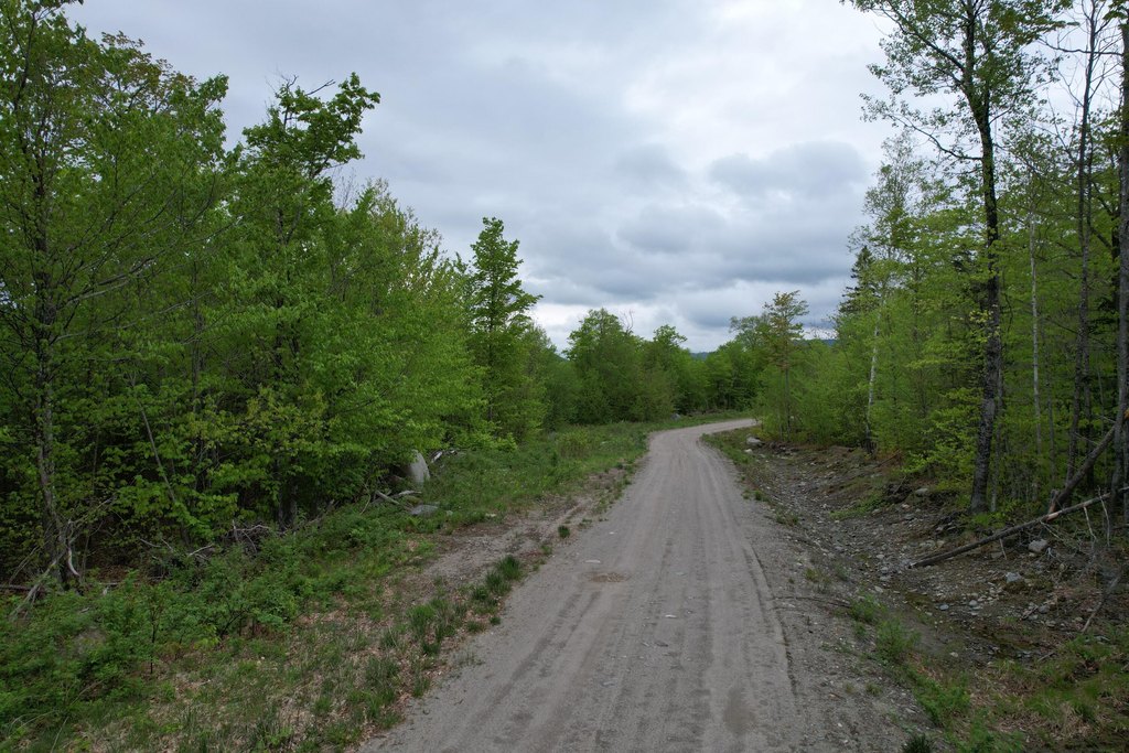 Picture 2