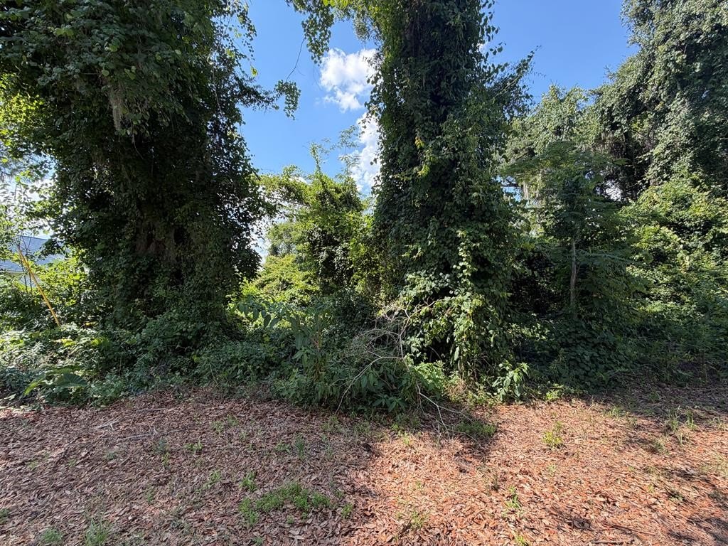 Waterfront Wooded Land in Lake Park