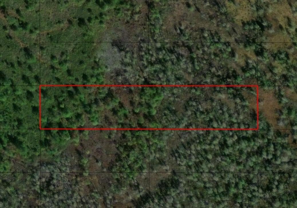 Two Acre Polk City Land