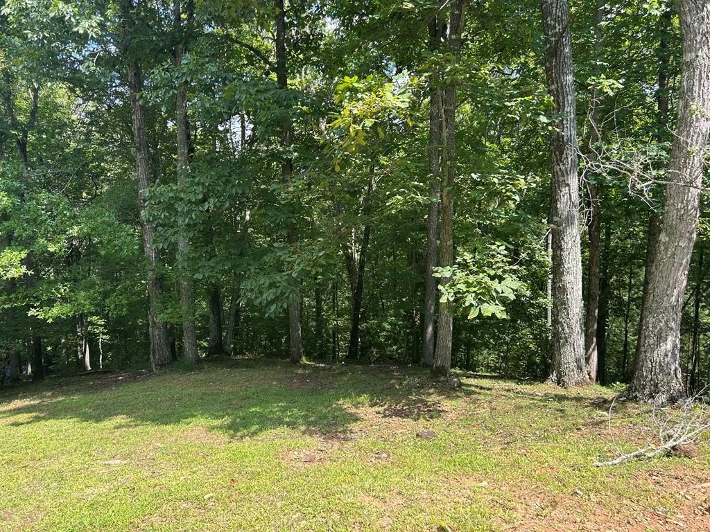 Blairsville, GA Vacant Lot