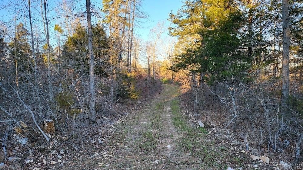 Picture 16