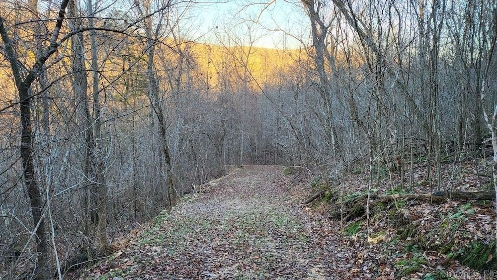 Picture 19