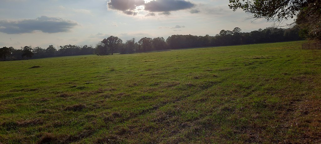 Picture 7