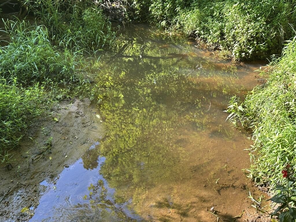 Picture 27