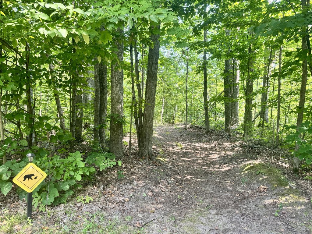 Picture 4