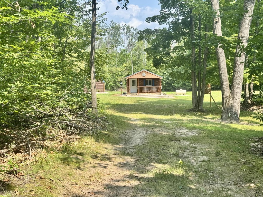 Picture 29