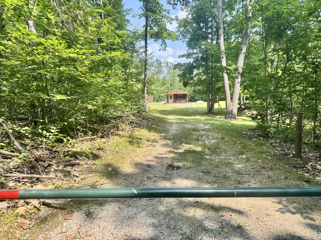 Picture 28