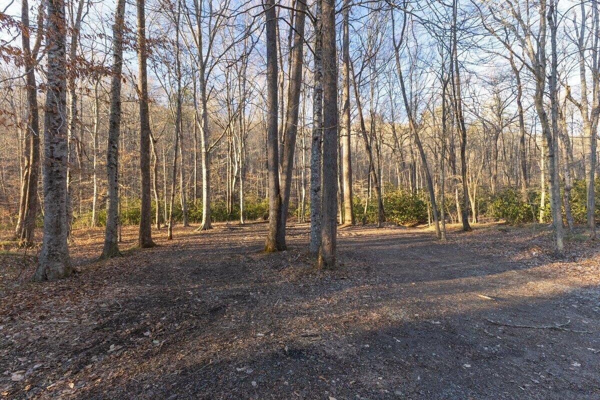 296 Acres in Hawkins County