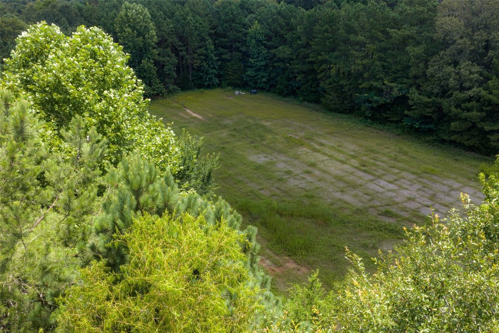 Picture 14