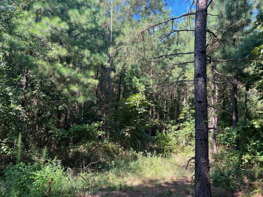 Picture 7