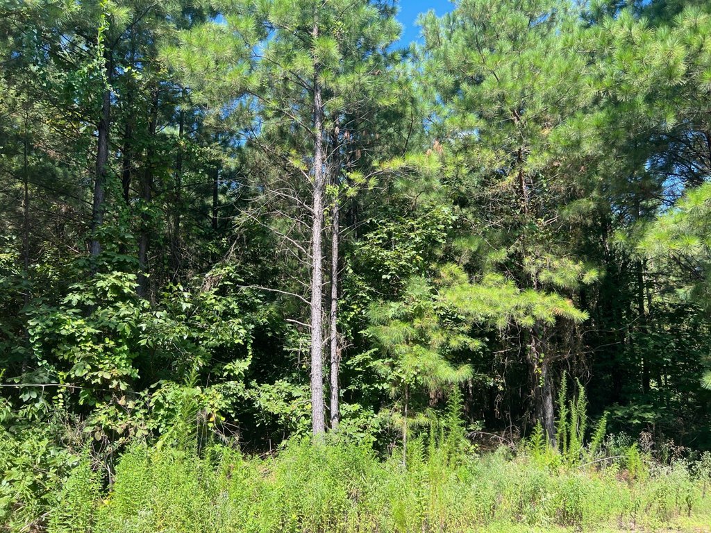 Picture 10