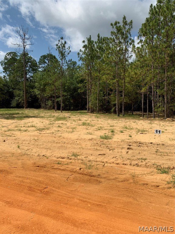 Land in Miller's Ferry