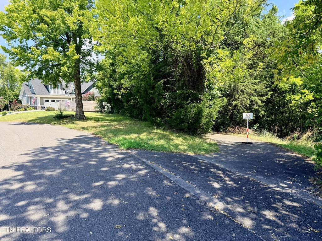 Picture 25