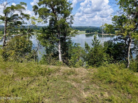 Lots & Acreage, Newport, TN