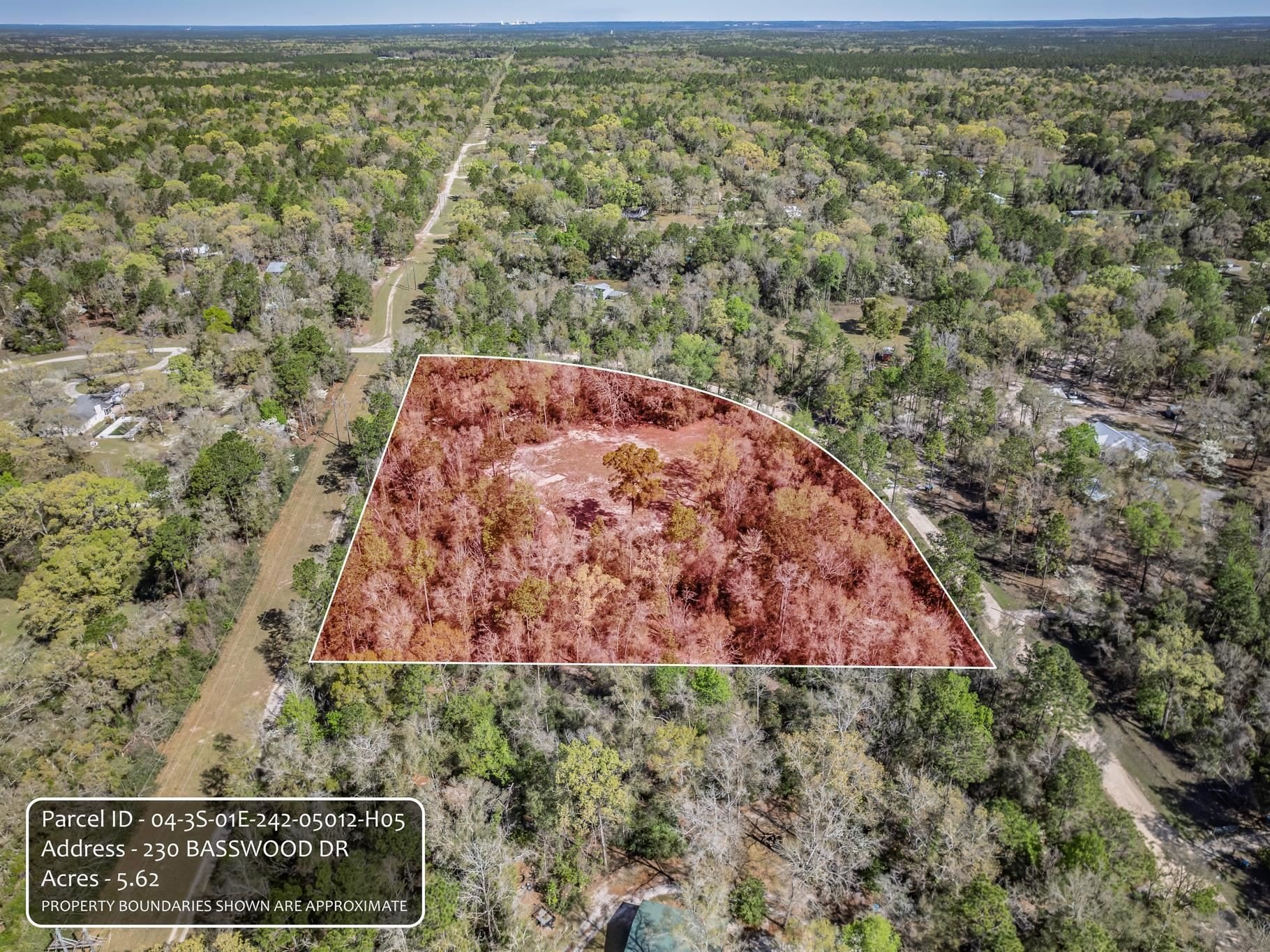 Crawfordville Acreage Ready For Development