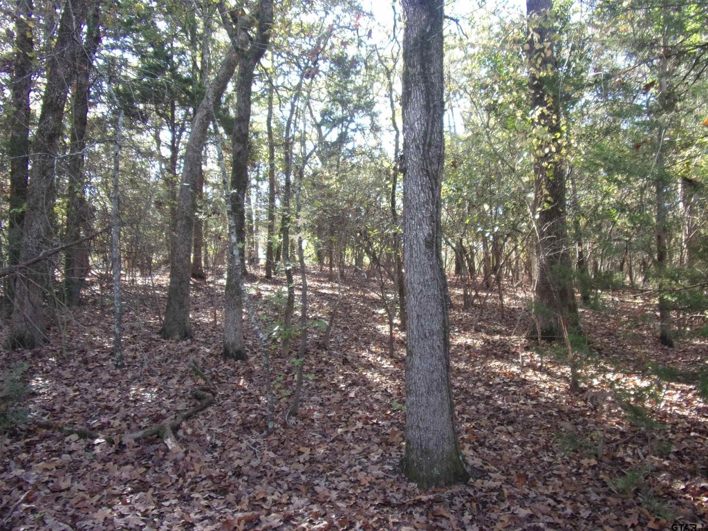 Picture 8