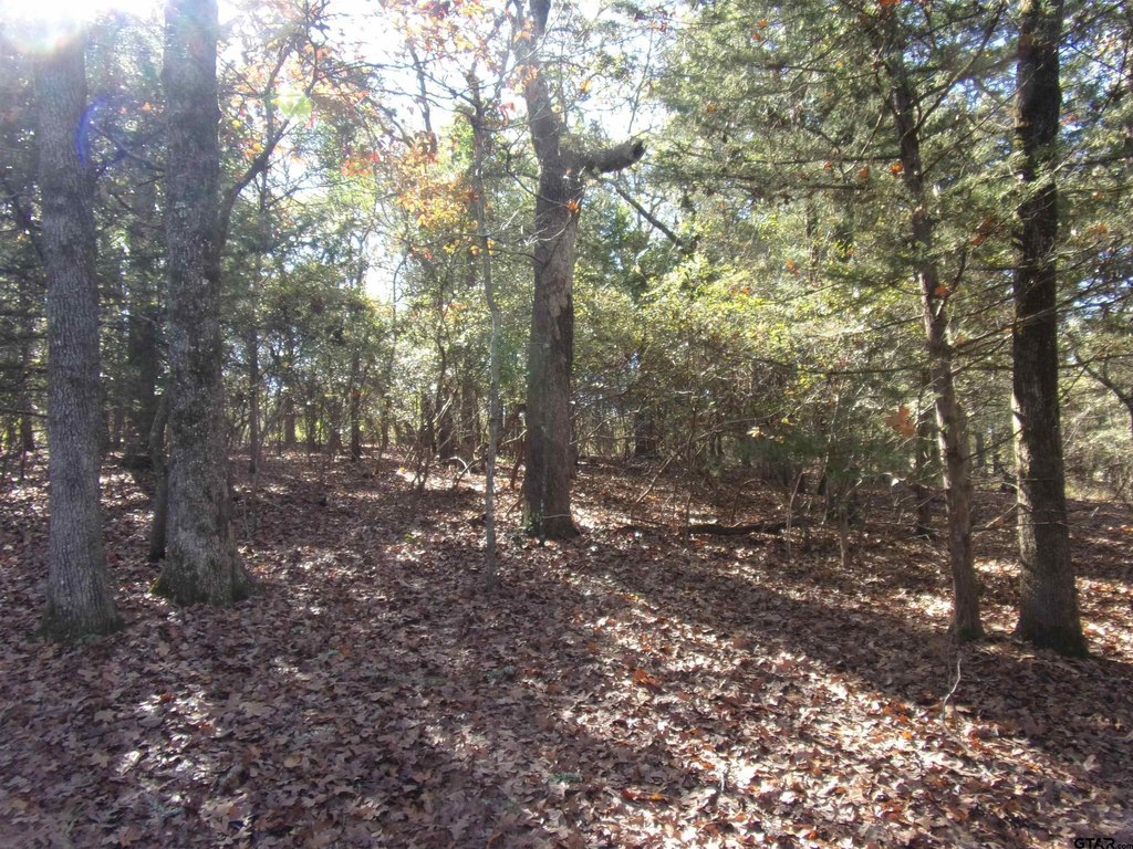 Picture 6