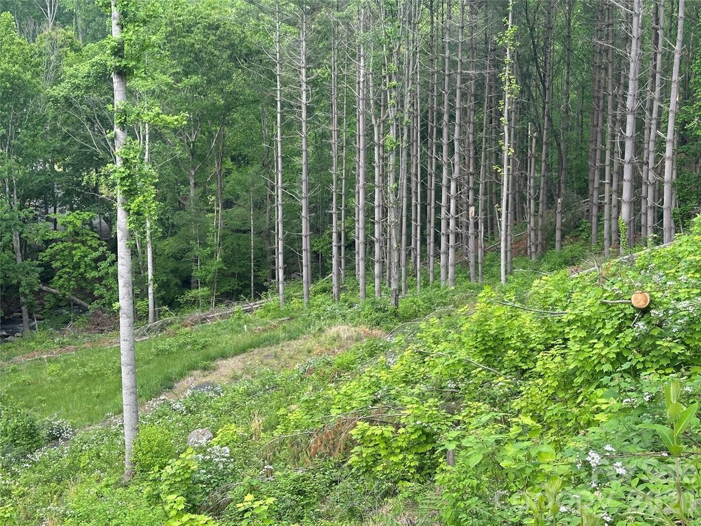 Picture 22