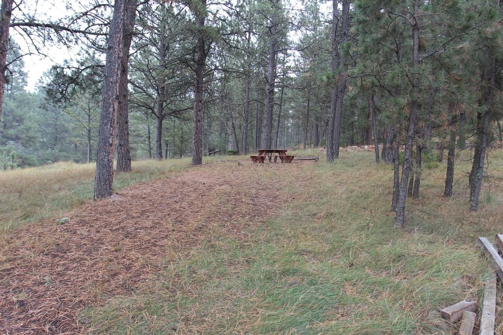 Picture 9