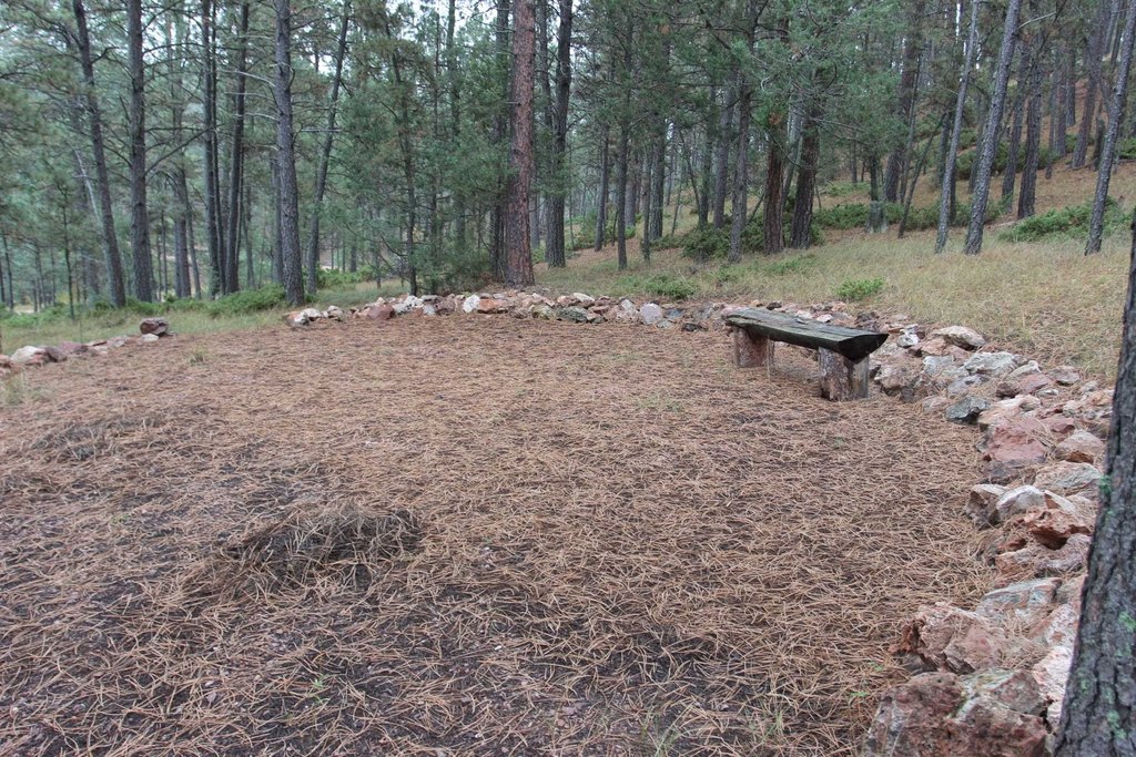 Picture 10
