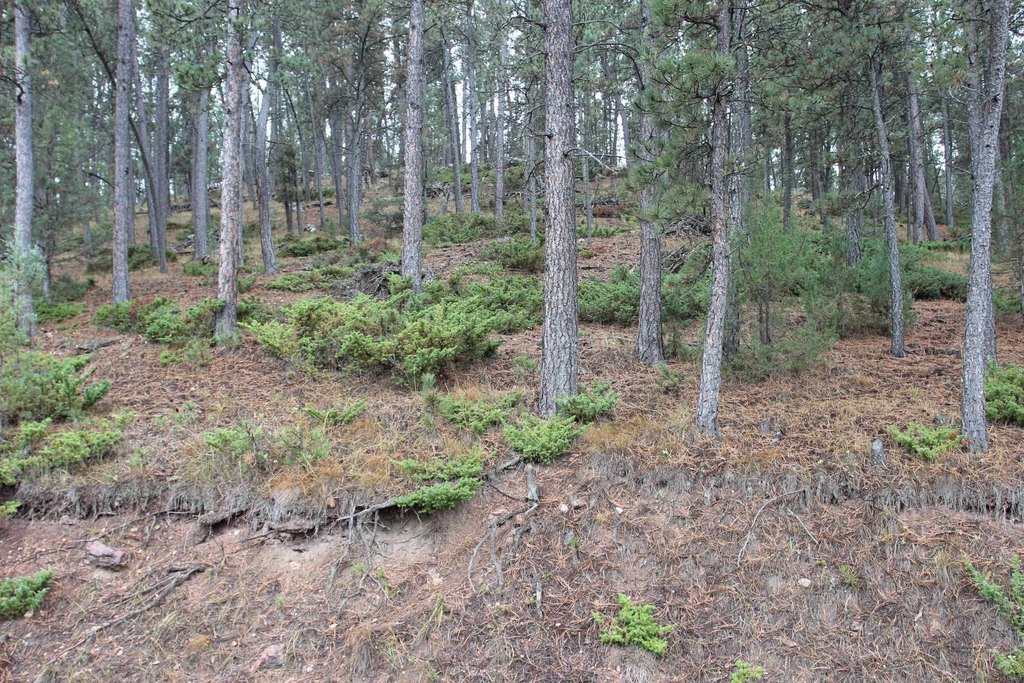 Picture 23