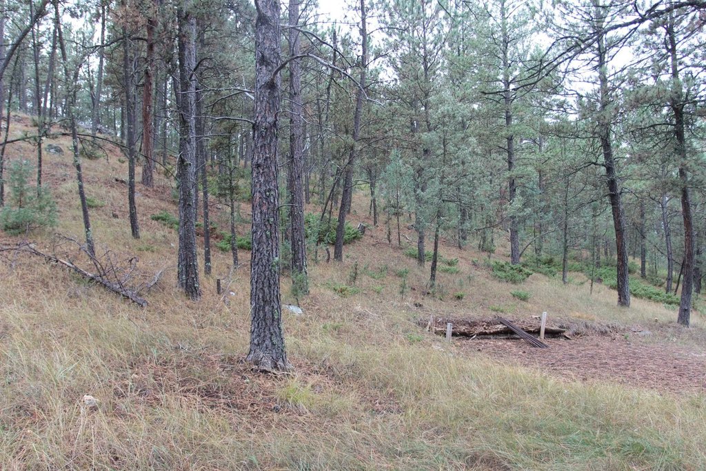 Picture 15