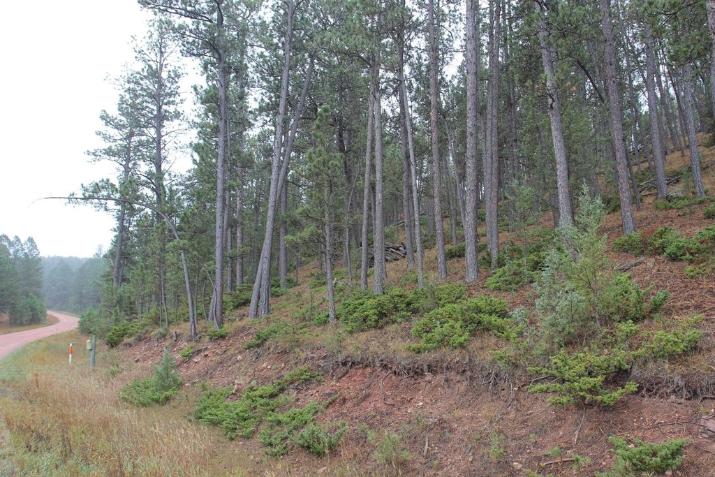 Picture 21