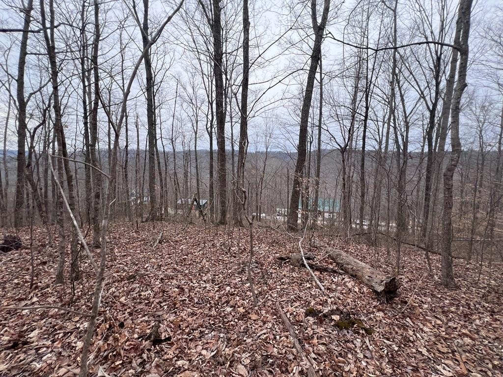 Tennessee Land with Mountain Views