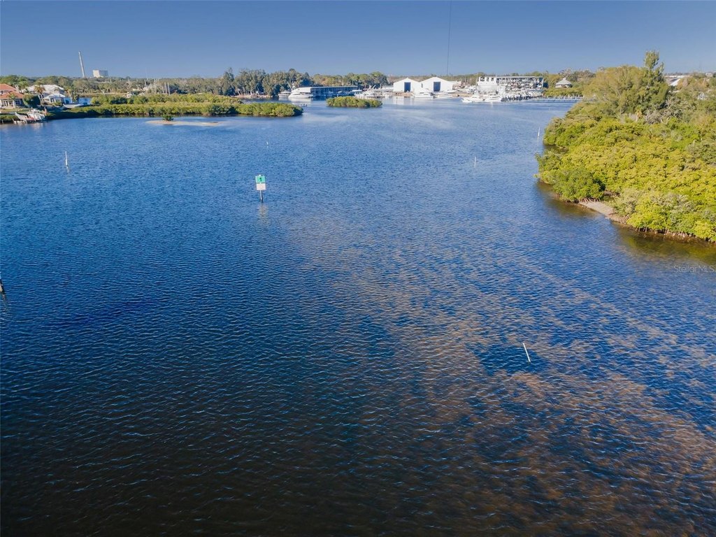 Picture 45