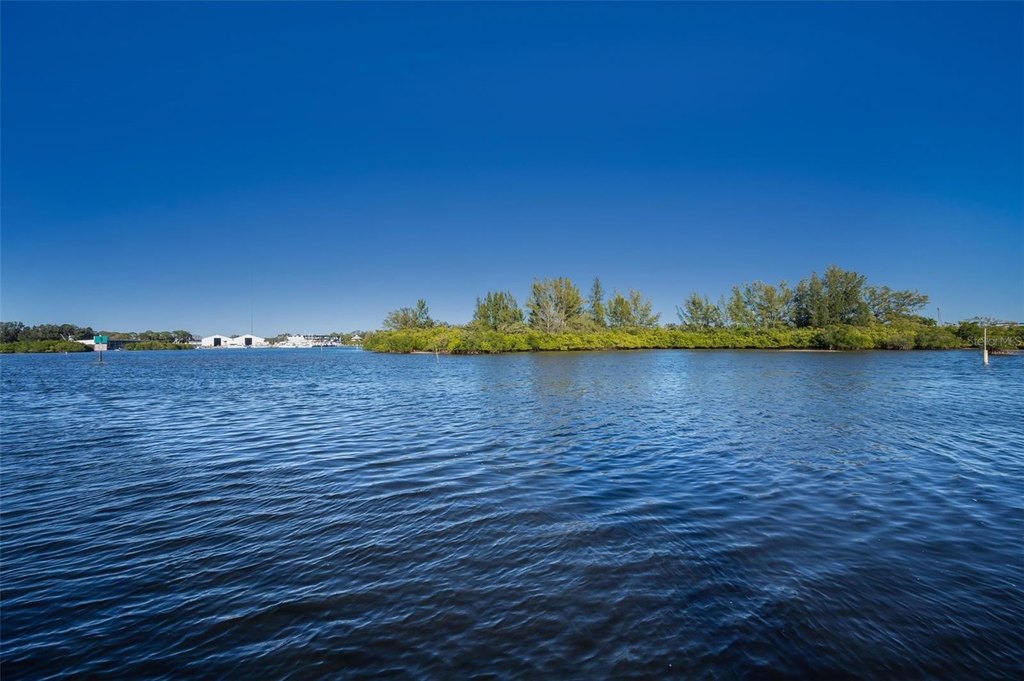 Picture 27