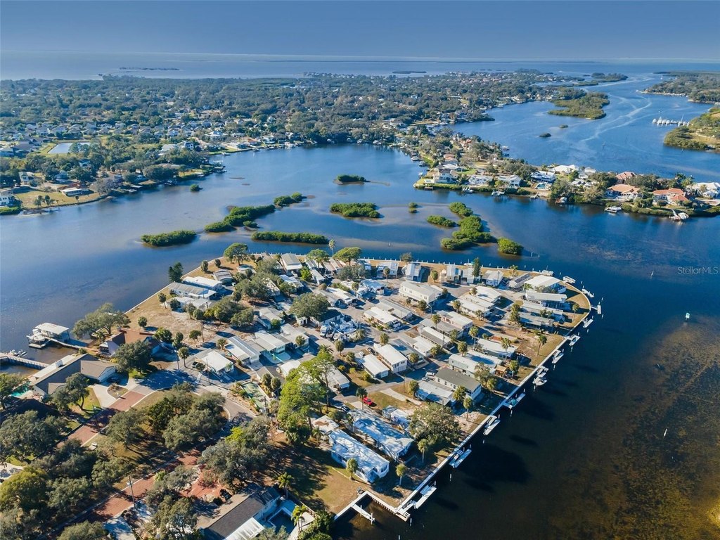 Picture 41