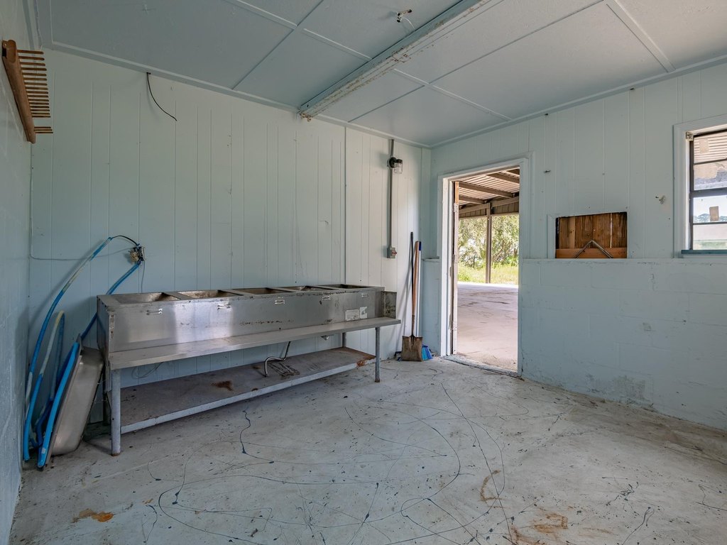 Picture 41