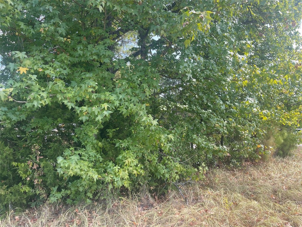 Picture 10