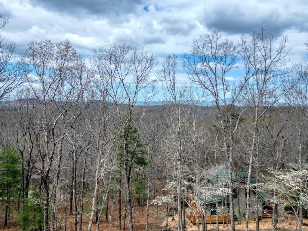 Mineral Bluff Vacant Homesite