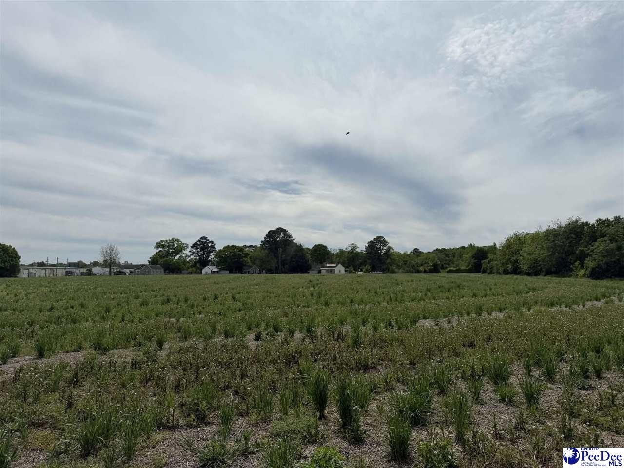 Dillon Commercial Land For Sale