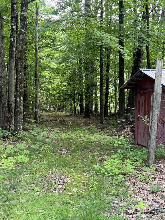 Picture 7
