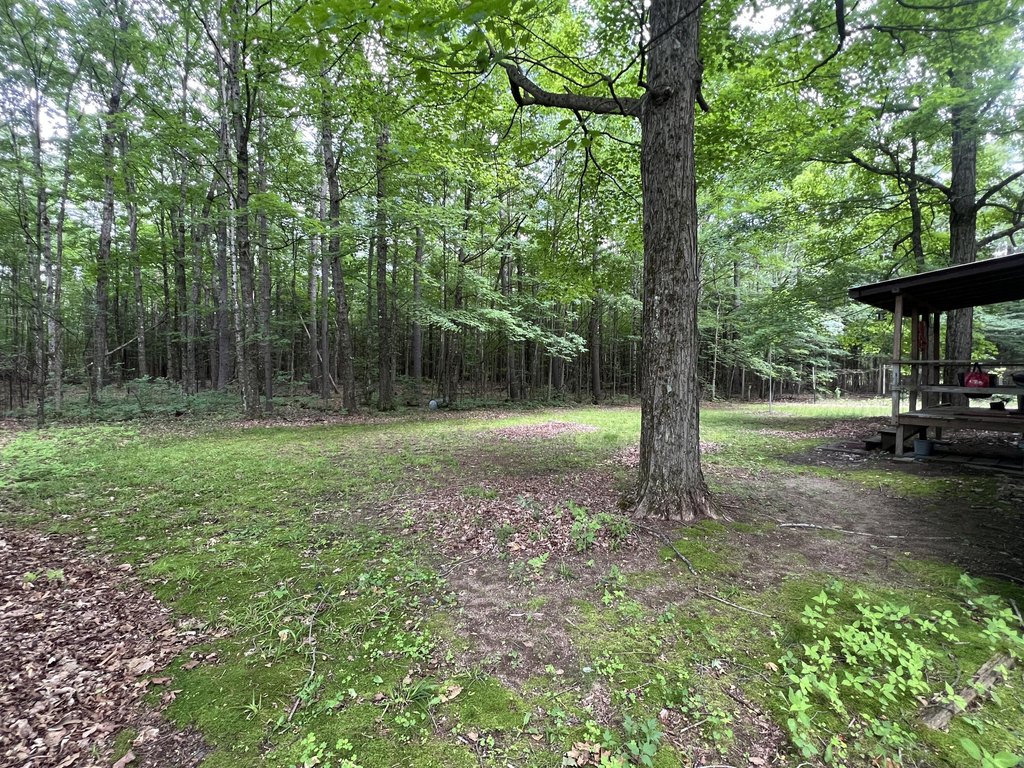 Picture 5