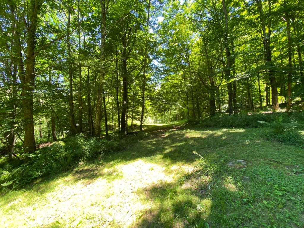 Picture 29