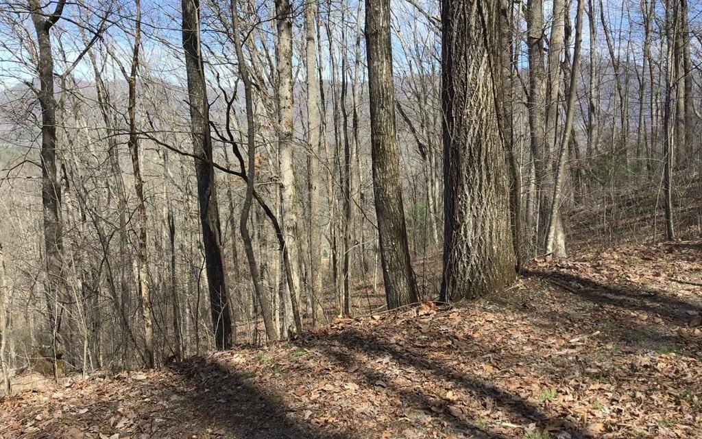 Hayesville Vacant Lot Ready to Build