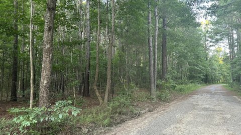 Wooded Lot in Huger, SC
