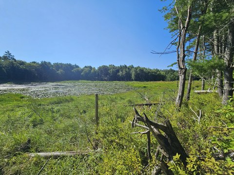 Waterfront Land Parcel