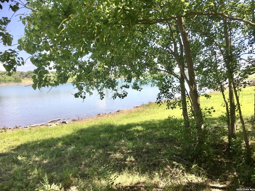 Picture 3