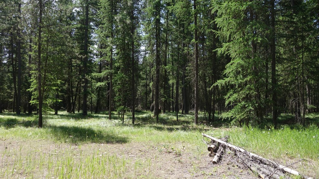 Picture 5