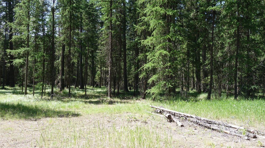 Picture 6