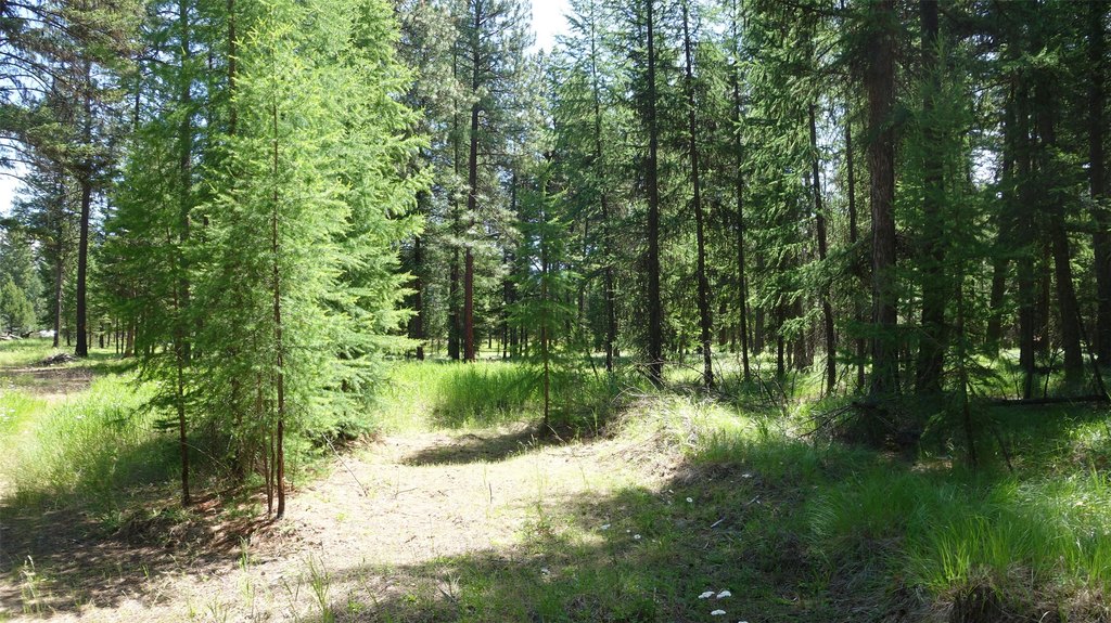 Picture 4