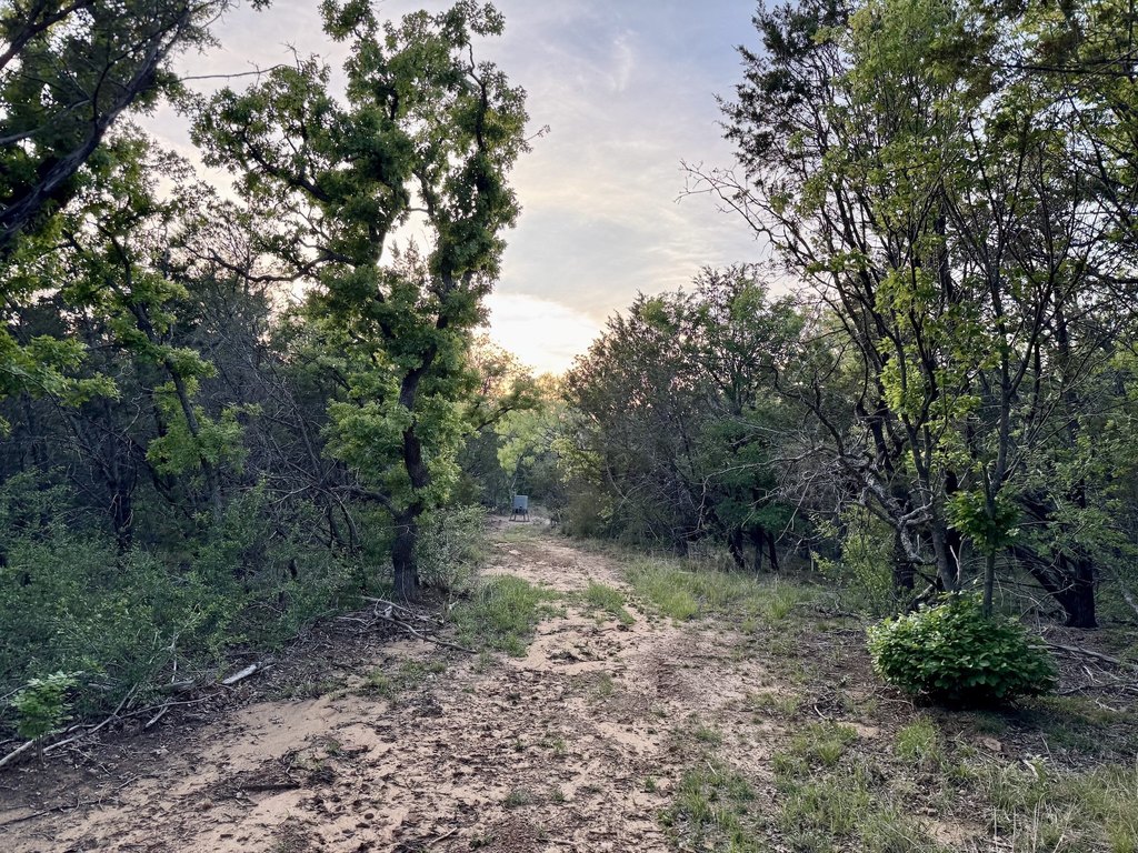 Picture 29