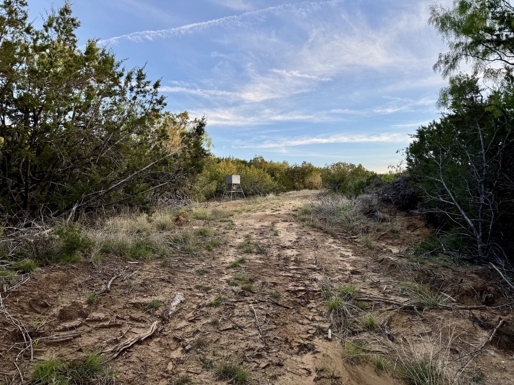 Picture 26